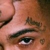 lilxbob